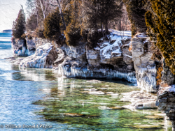 The winter winds blowing across Lake Michigan can chill the hardiest traveler, but when the winds ease and the sun breaks forth, the limestone bluffs at Cave Point come alive with shimmering color and icy decorations. The thudding surf creates deep caves at water's level, allowing the ice to grow like blue-white vines over the cave entrances. The rusty siena of the eastern cedars contrasts in color and texture with the pristine snow and the blue-green shallows, giving us a perfect winter fantasy.