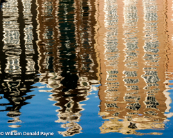 Reflections of Reality