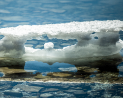 An icy bench floats in the shallows of Green Bay.