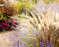 Late summer floral profusion decorates Wills Park, Ellison Bay, WI.