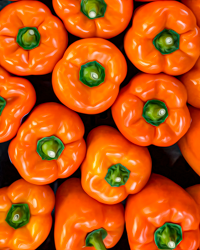 Orange peppers pose as green-eyed flowers.