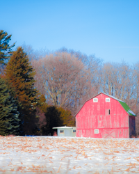 The rosy red of a distant barn dominates this rural setting.