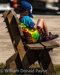 A summer day is sweetened by a short siesta.