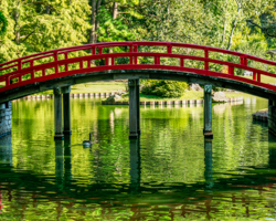Nature Reshaped by Human Design